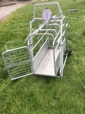 SHEEP/LAMB WEIGHING CRATE 