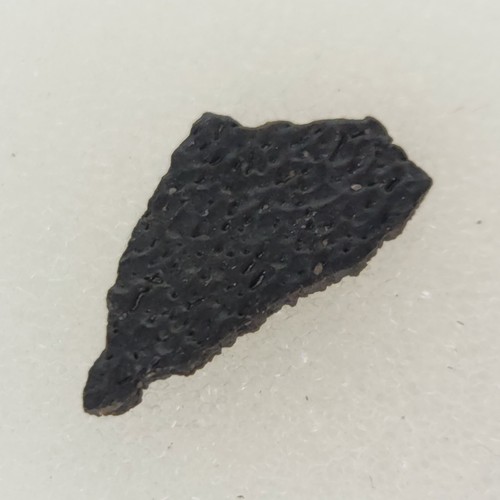 Hadrosaur egg shell - egg, fossil