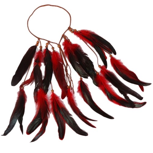 Indian feathers headdress - feathers,
