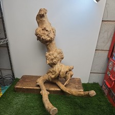 Big Leaf Maple Root Wood for Vivariums, Terrariums Reptile, RARE.