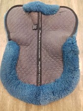 Grey Blue Stephens Equine