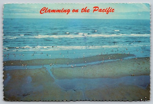 Washington clam diggers - washington,