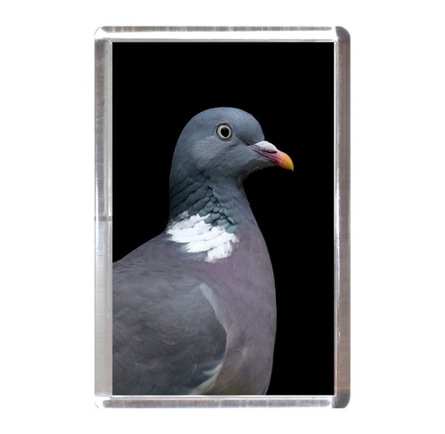 Fridge magnet wood - fridge, magnet:
