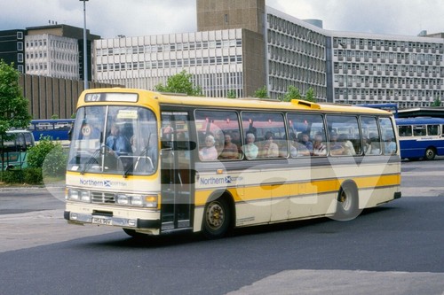Coach photo northern - photo,