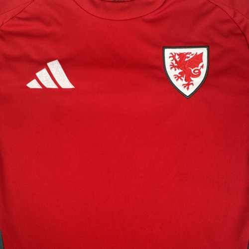 Wales football shirt 2024 2025 - shirt,