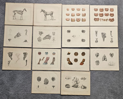 Antique victorian prints - antique,