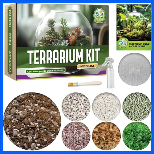 Beginner friendly terrarium - beginner-friendly,
