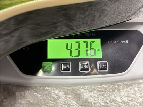 Sfida sjb 800 electric - sfida, sjb-800