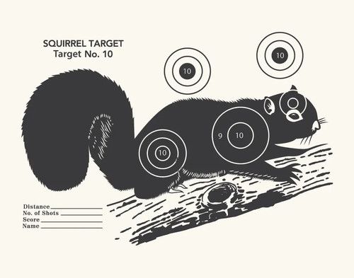 Splatter target shoot rifle - target, a4