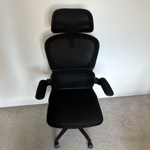 Black executive ergonomic - executive,