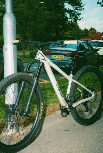 Mountain bike - mountain,