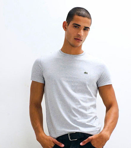 Lacoste men grey cotton - lacoste,