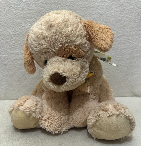 Sainsbury puppy dog - sainsbury's,