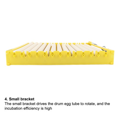 Fully automatic egg incubation - fully,