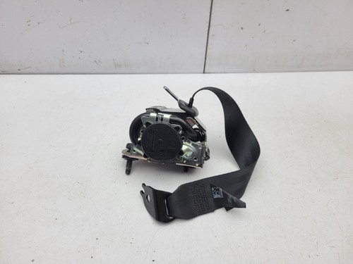 Ford focus mk4 2018 - mk4, belt