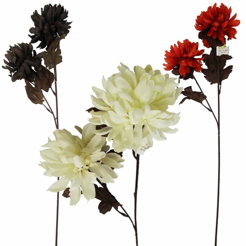 Head chrysanthemum - 2,