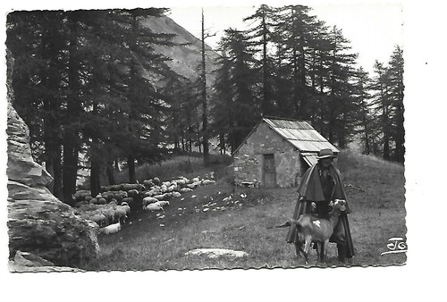 Shepherd hut - shepherd's,