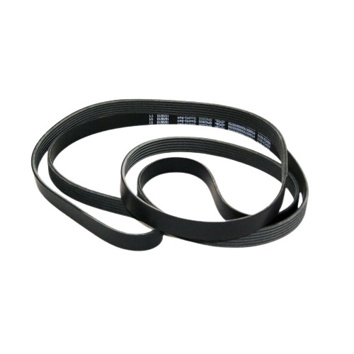 Snake belt for - snake,