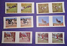1960s Weetabix Vistascreen Stereoscopic Viewer 3D Cards Working Dogs & Thrills