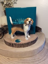 Leonardo Dog Studies Beagle