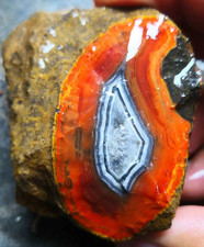 Rare Natural Warring States