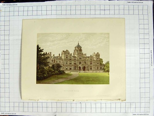 Old antique print - print, colour