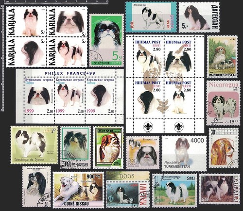 Japc frame dog breed - [japc], it
