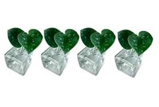 4x Mini Vases Clear Glass