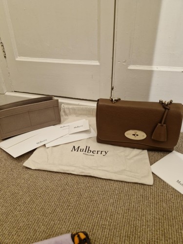 Mulberry medium lily the - lily, in