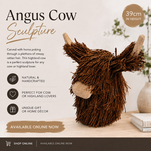 Special offer angus highland - offer,