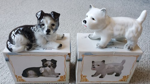 West highland terrier border - terrier,