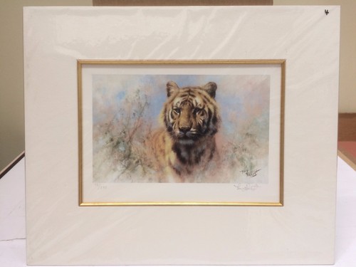 Tony forrest tiger from - tony,