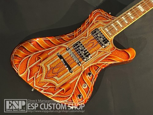 Esp ex16 stream fuel - esp, ex16-48