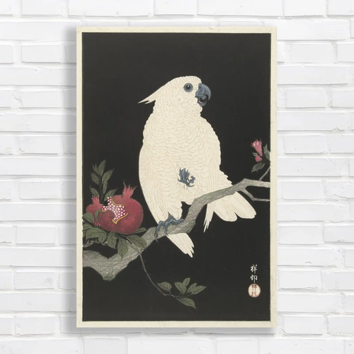 Elegant cockatoo tropical bird - elegant,