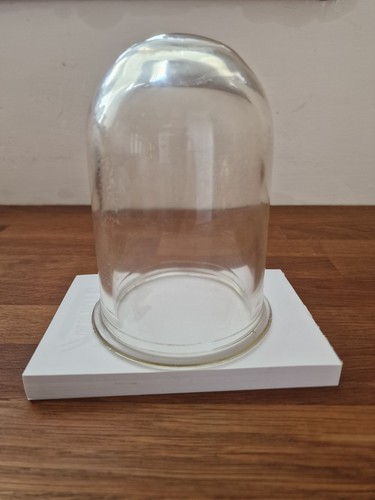 Victorian glass dome - dome, bell