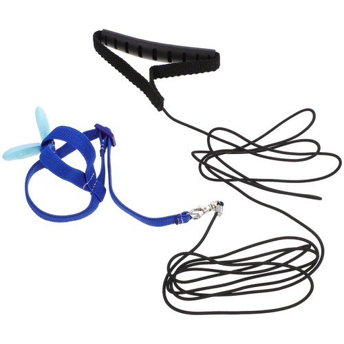Pet parrot leash - parrot,