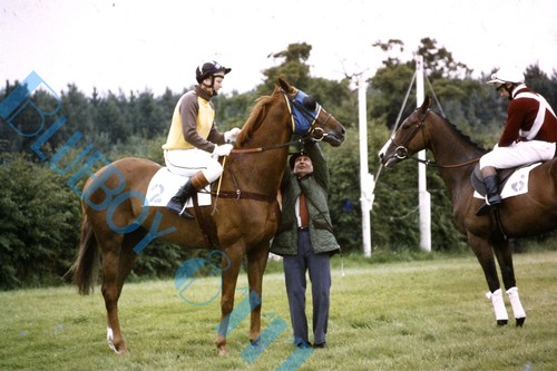 York races 1982 waiting for - races,