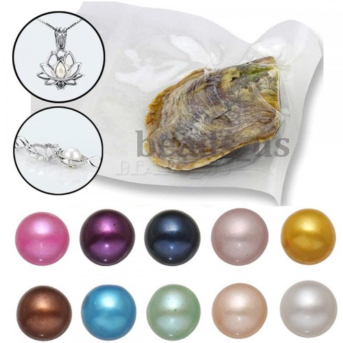 10x natural pearl oysters real - natural,
