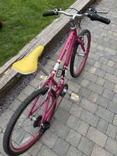 Raleigh Pop 24-inch Kids Bike