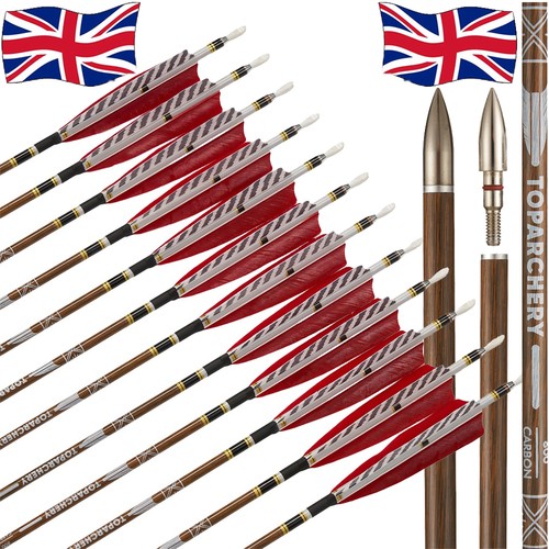 Archery pure carbon - archery,