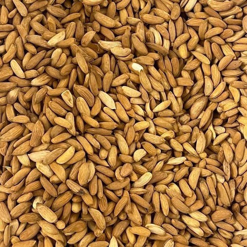 Premium afghani almonds giri - afghani, (giri