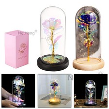 Eternal Forever Galaxy Rose