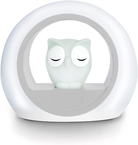 Lou the owl night - owl,