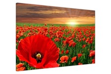 Red Poppy Field Canvas Wall