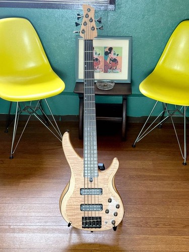 Yamaha trbx605fm string - ns, 5