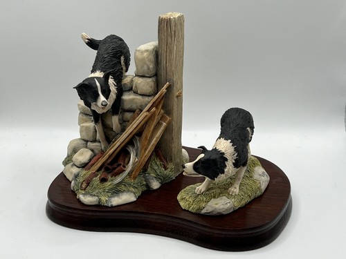 Border fine arts collie - fine,
