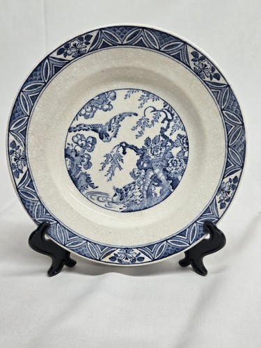 Pountney and blue - and, white