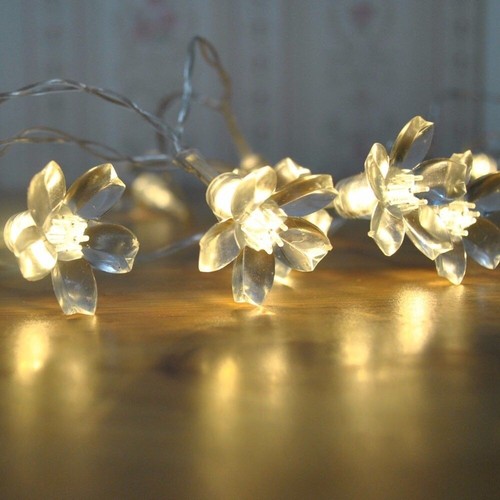 Cherry blossom 5m usb - blossom, 3.5m