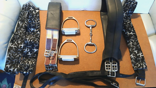 Horse driving harness - harness, american