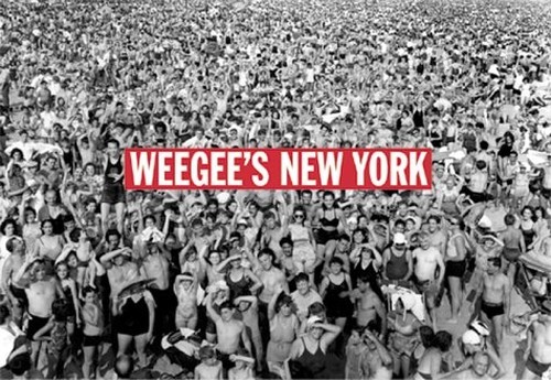Weegee new york postcard - new,